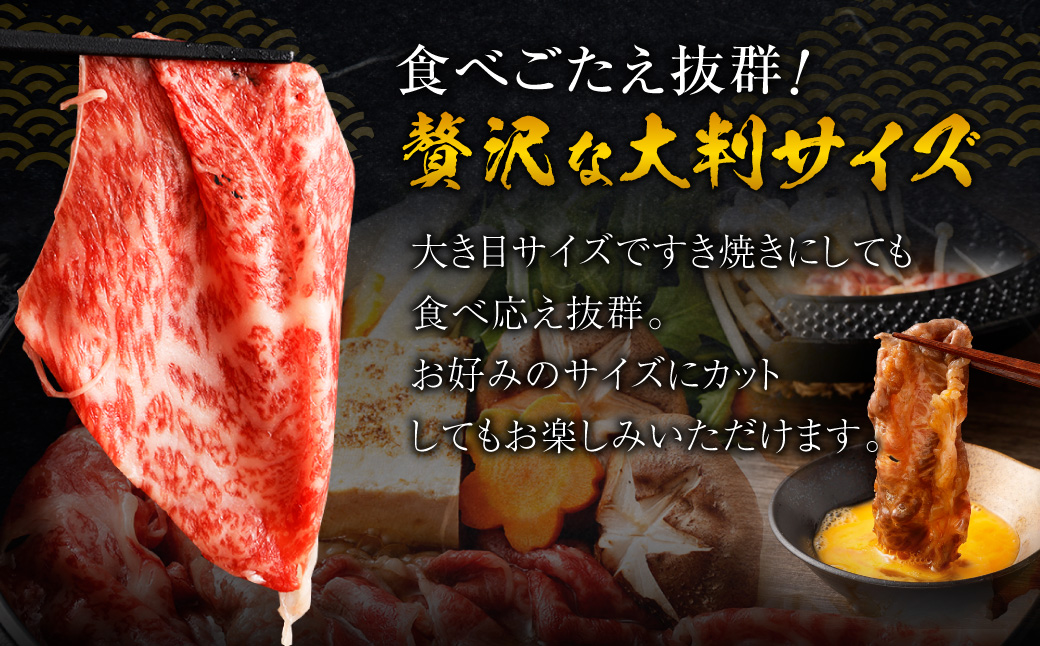 博多和牛 リッチな切り落とし 300g×2パック 計約600g 肉 牛肉 お肉 すき焼き 切り落とし