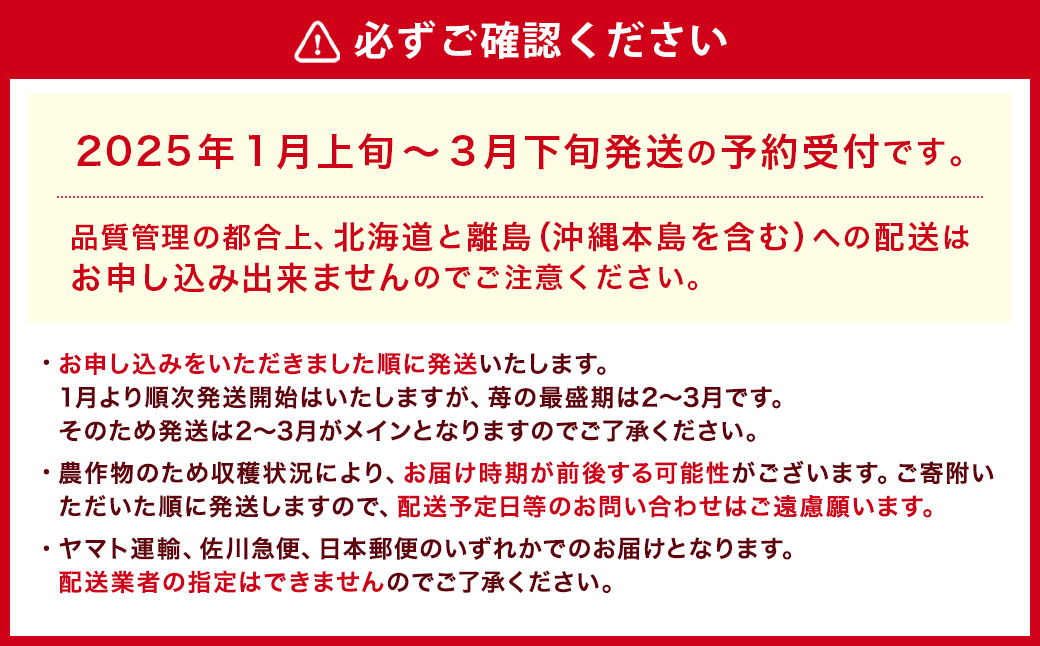 【アフター対応】あまおう 約280g×2パック【2025年1月上旬～3月下旬発送予定】 苺 イチゴ いちご 果物 フルーツ 福岡県 遠賀町