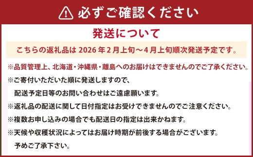大粒あまおう 4パック 計約1000～1080g あまおう いちご イチゴ 苺 果物 くだもの フルーツ【2026年2月上旬～4月上旬発送予定】