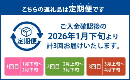 【3回定期便】あまおう 3パック 計約750～810g ×3回 あまおう いちご イチゴ 苺 果物 くだもの フルーツ 定期便【2026年1月下旬～4月下旬発送予定】