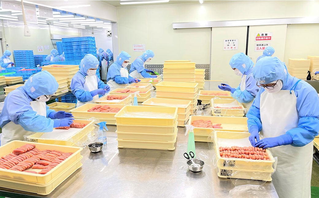 玄海 辛子明太子詰め合わせ 合計1.17kg 明太子