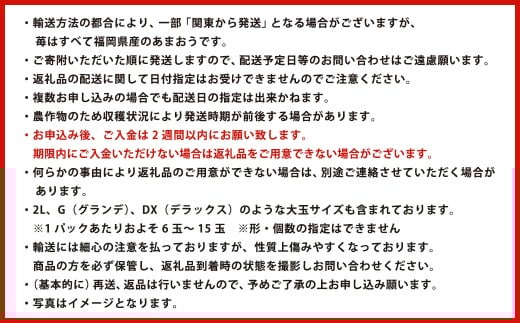 【数量限定】 福岡県産 あまおう 270g × 2パック 【2026年2月上旬～4月上旬発送予定】 苺 イチゴ いちご 果物 フルーツ 果実 国産 アフター保証 アフター対応 福岡県 遠賀町 冷蔵