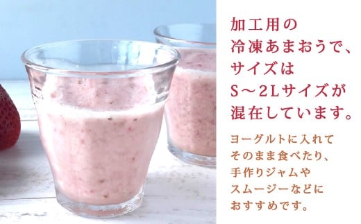 やまや 【濃厚な味わい！】 冷凍いちご 博多あまおう 1kg あまおう 苺 いちご イチゴ 冷凍苺 冷凍イチゴ 果物 くだもの フルーツ 冷凍