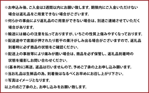 春のあまおう 2L・2A・G規格以上 約250～270g×4パック あまおう いちご イチゴ 苺 果物 くだもの フルーツ【2026年3月上旬～4月下旬発送予定】