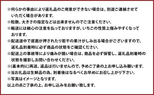 ティッシュボックス用 特別仕様の桐箱入り プレミアム あまおう 約400g×1パック あまおう いちご イチゴ 苺 果物 くだもの フルーツギフト お祝い 贈答用【2026年2月上旬～4月上旬発送予定】
