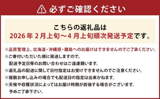 あまおうボリュームセット 6パック 計約1500～1620g あまおう いちご イチゴ 苺 果物 くだもの フルーツ【2026年2月上旬～4月上旬発送予定】