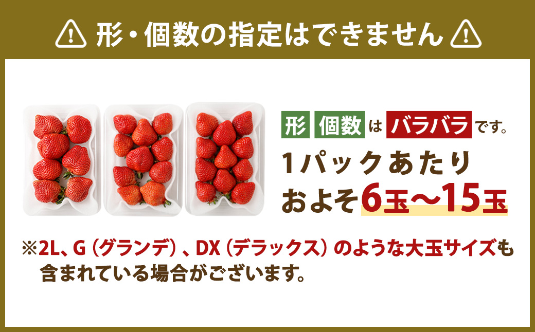 数量限定 福岡県産 あまおう 270g×4パック【2026年2月上旬～4月上旬発送予定】