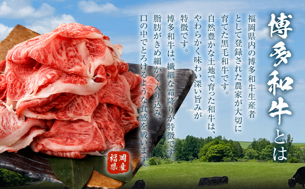 博多和牛 リッチな切り落とし 300g×2パック 計約600g 肉 牛肉 お肉 すき焼き 切り落とし