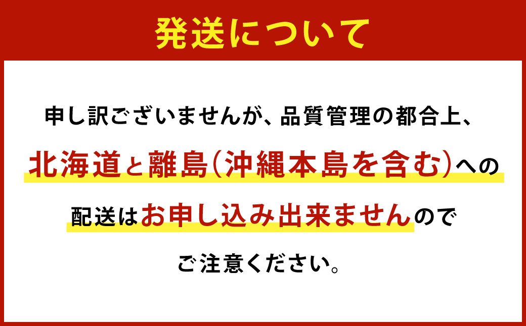 春のあまおう 2L・2A・G規格以上 約250～270g×4パック あまおう いちご イチゴ 苺 果物 くだもの フルーツ【2026年3月上旬～4月下旬発送予定】