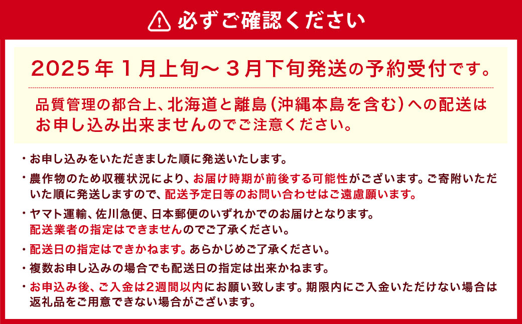 【ギフト用／特別栽培】 福岡県産 あまおう EX 約450g×2パック 【2025年1月上旬～3月下旬発送予定】 いちご イチゴ 苺 フルーツ 果物 くだもの ギフト 贈答用 贈り物 福岡県 遠賀町