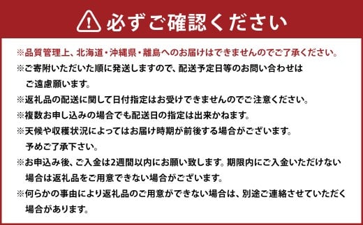 【3回定期便】あまおう 3パック 計約750～810g ×3回 あまおう いちご イチゴ 苺 果物 くだもの フルーツ 定期便【2026年1月下旬～4月下旬発送予定】