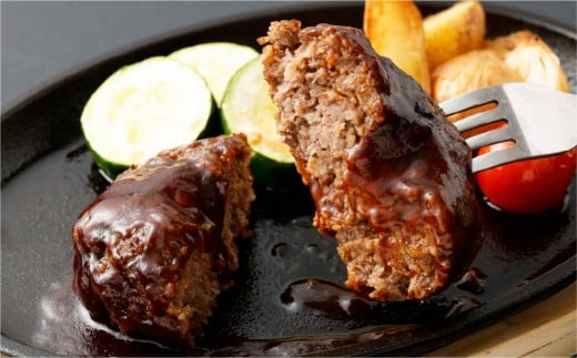 国産 合挽手ごねハンバーグ デミグラスソース 10個 ハンバーグ デミグラス お肉 牛肉 ソース付き 晩御飯 食事 冷凍 福岡県 遠賀町
