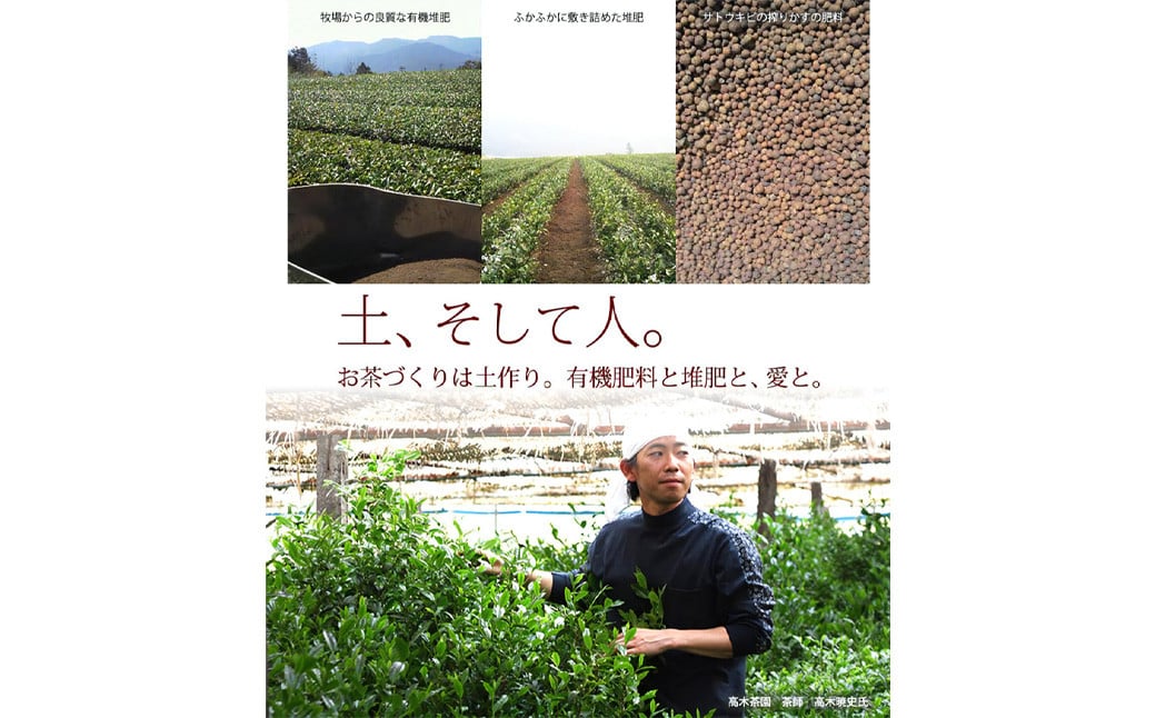 【八女茶】奥八女星野村 深蒸し高級煎茶 (深蒸し茶) 100g×2袋