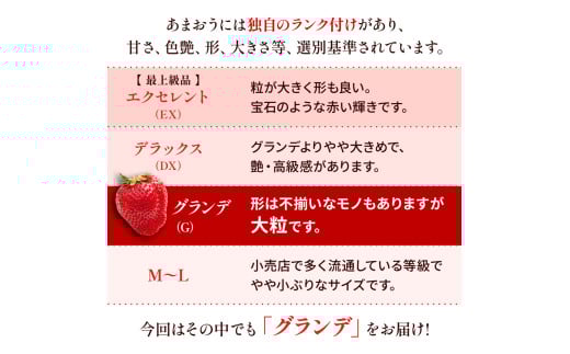福岡県産 あまおう 1500g （250g×6パック） 苺 イチゴ いちご 大粒 果物 フルーツ 福岡 福岡県【2026年1月上旬～3月下旬発送予定】