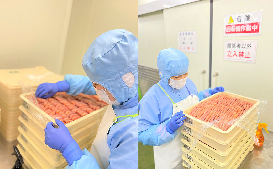 玄海 辛子明太子詰め合わせ 合計1.17kg 明太子