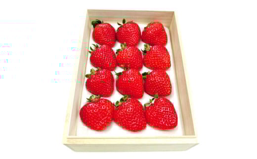 ティッシュボックス用 特別仕様の桐箱入り プレミアム あまおう 約400g×1パック あまおう いちご イチゴ 苺 果物 くだもの フルーツギフト お祝い 贈答用【2026年2月上旬～4月上旬発送予定】