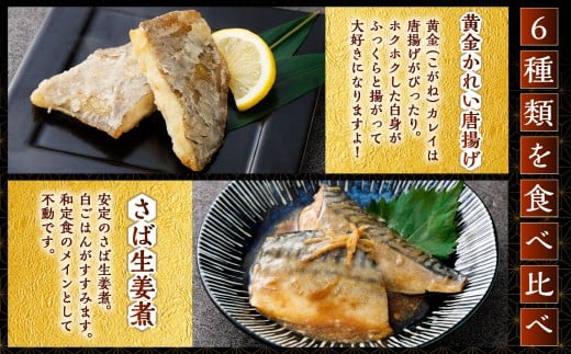 【お試し容量】彩り豊かな食べ比べ！骨取りお魚6種×1切 真空パック【煮魚･焼き魚･唐揚げ･西京漬け 詰め合わせセット】 魚 赤魚 あじ 鯵 かれい 鰈 さば サバ 鯖 さわら 鰆 ぶり ブリ 鰤 煮魚 焼き魚 唐揚げ 西京漬け 照焼き 生姜煮 詰合せ セット 冷凍 骨取り 骨抜き