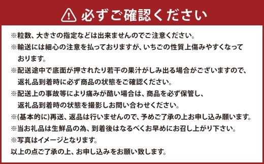 あまおうボリュームセット 6パック 計約1500～1620g あまおう いちご イチゴ 苺 果物 くだもの フルーツ【2026年2月上旬～4月上旬発送予定】