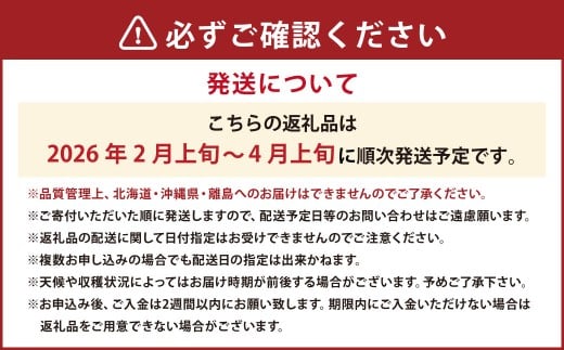 あまおうDX 約280g×4パック あまおう いちご イチゴ 苺 果物 くだもの フルーツ【2026年2月上旬～4月上旬発送予定】
