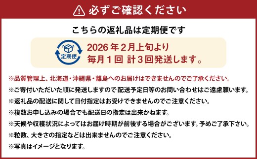 【3ヶ月定期便】あまおう 約250～270g × 2パック × 3回 （合計 ： 約1500g～1620g） 【2026年2月上旬～4月上旬発送予定】 あまおう いちご イチゴ 苺 果物 くだもの フルーツ 福岡県産 国産 福岡県 遠賀町 冷蔵
