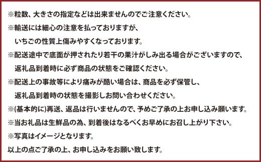 大粒あまおう 約250～270g × 2パック （合計 ： 約500～540g） 【2026年2月上旬～4月上旬発送予定】 あまおう いちご イチゴ 苺 果物 くだもの フルーツ 福岡県産 国産 福岡県 遠賀町 冷蔵