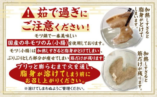 国産 牛もつ鍋 10人前 ちゃんぽん・濃縮スープ付き（醤油味）