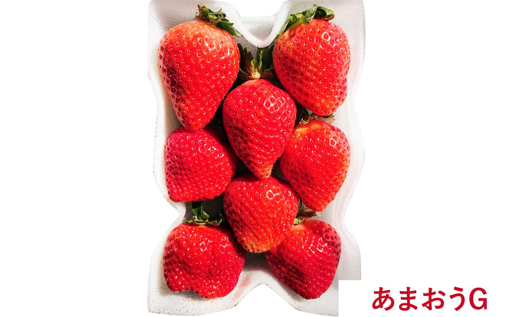 【予約受付・3回定期便】 あまおう満喫セット 【2026年3月上旬～8月発送予定】 （フレッシュあまおう ／ 冷凍あまおう ／ あまおうジェラート） 苺 イチゴ いちご あまおう ジェラート フルーツ 果物 くだもの セット お取り寄せ ギフト プレゼント おすすめ 定期便 国産 冷凍