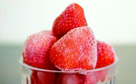 福岡県産 ブランド【あまおう】冷凍いちご 1600g 冷凍フルーツ 苺 イチゴ あまおう