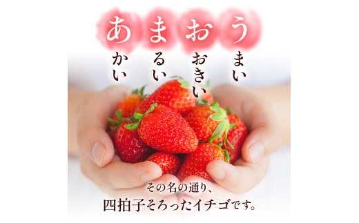 福岡県産 あまおう 1000g（250g × 4パック） 苺 イチゴ いちご 大粒 果物 フルーツ 福岡 福岡県 【2026年1月上旬～3月下旬発送予定】