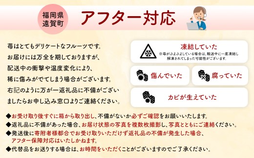 【数量限定】 福岡県産 あまおう 270g × 2パック 【2026年2月上旬～4月上旬発送予定】 苺 イチゴ いちご 果物 フルーツ 果実 国産 アフター保証 アフター対応 福岡県 遠賀町 冷蔵