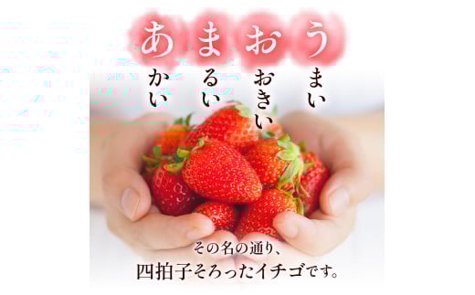 福岡県産 あまおう 1500g （250g×6パック） 苺 イチゴ いちご 大粒 果物 フルーツ 福岡 福岡県【2026年1月上旬～3月下旬発送予定】