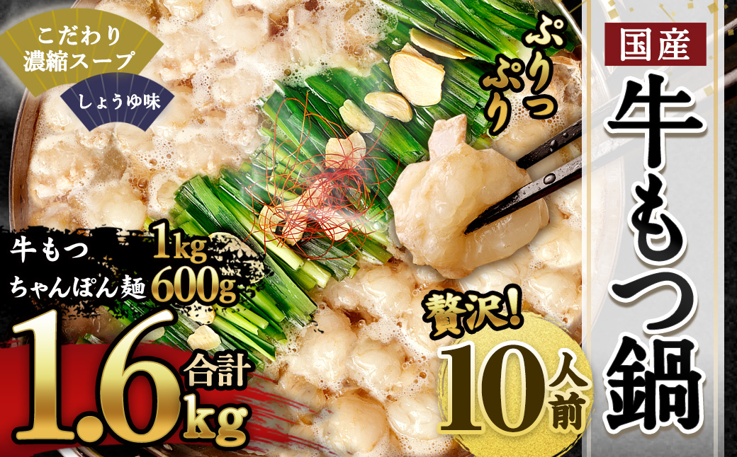 国産 牛もつ鍋 10人前 ちゃんぽん・濃縮スープ付き（醤油味）