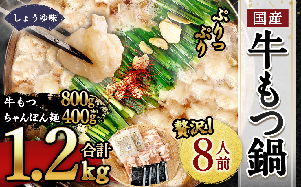 国産もつ鍋 8人前 冷凍ちゃんぽん・濃縮スープ付き（醤油味）