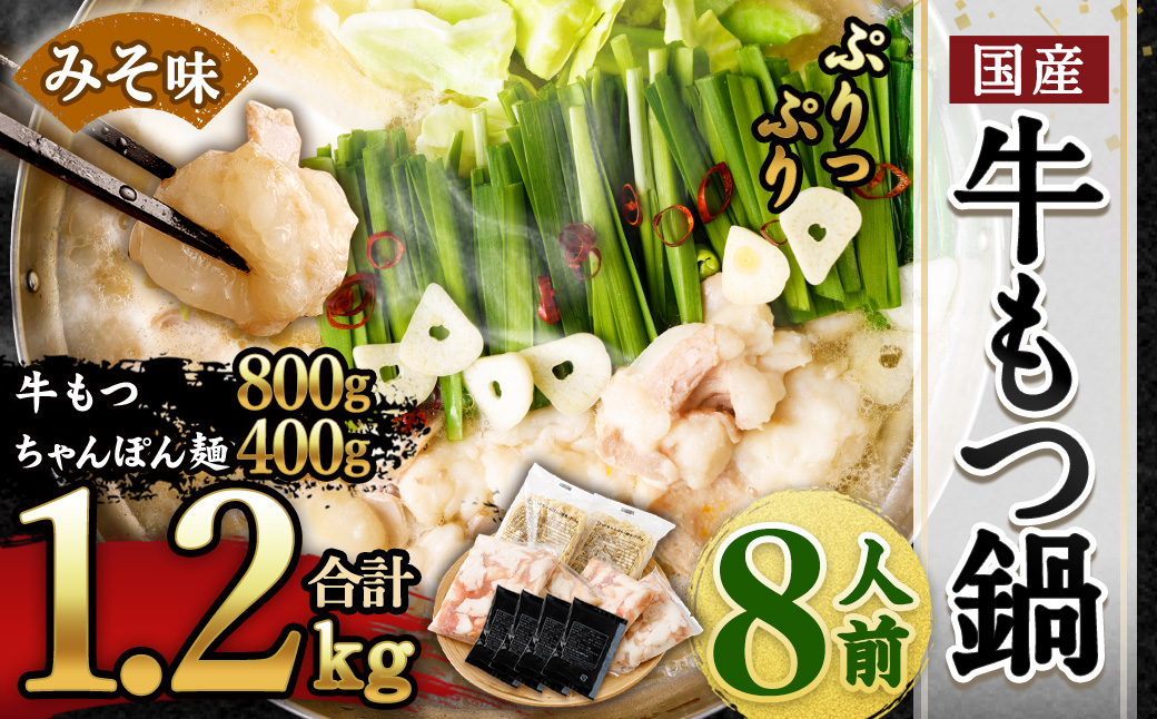 国産 牛もつ鍋 8人前 ちゃんぽん 濃縮スープ付（みそ味）