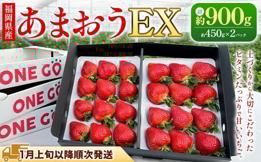 ギフト配送 福岡県産あまおう EX 約450g×2パック 〈特別栽培〉
