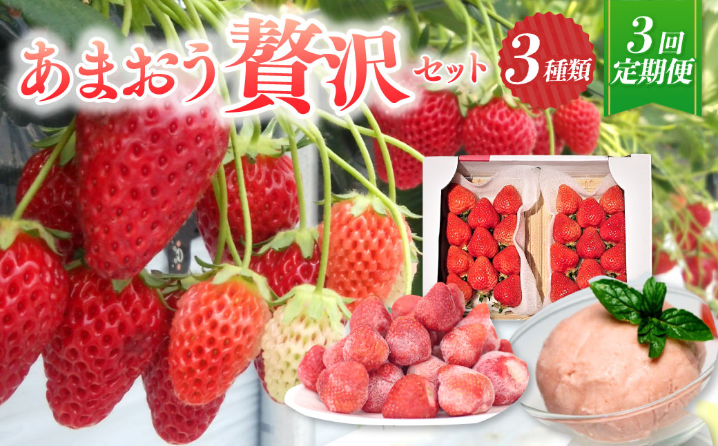 【予約受付・3回定期便】あまおう贅沢セット あまおう ジェラート 冷凍あまおう いちご イチゴ 苺 果物 くだもの フルーツ アイス 定期便【2025年3月上旬～7月下旬発送予定】