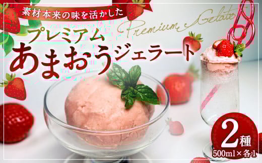 プレミアムあまおうジェラート 2種セット 500ml×2個 アイス シャーベット いちご