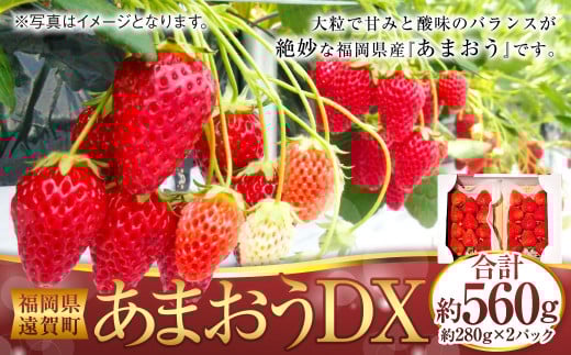 あまおうDX 約280g×2パック あまおう いちご イチゴ 苺 果物 くだもの フルーツ 【2026年2月上旬～4月上旬発送予定】