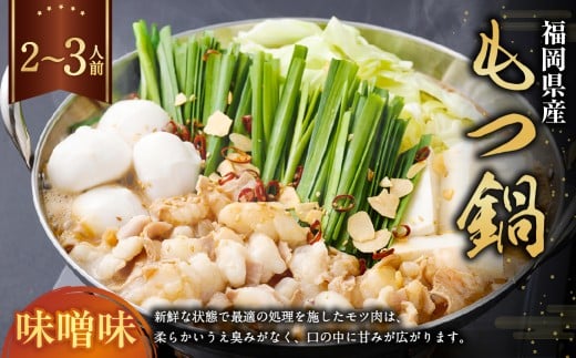 もつ鍋・味噌味 2～3人前 もつ鍋 お鍋 セット 味噌味 ご褒美 食事 冷凍 福岡県 遠賀町