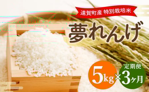 【3ヶ月定期便】 特別栽培米 夢れんげ 5kg×1袋 合計15kg 精米 米 コメ 定期便 【2025年10月下旬発送開始】