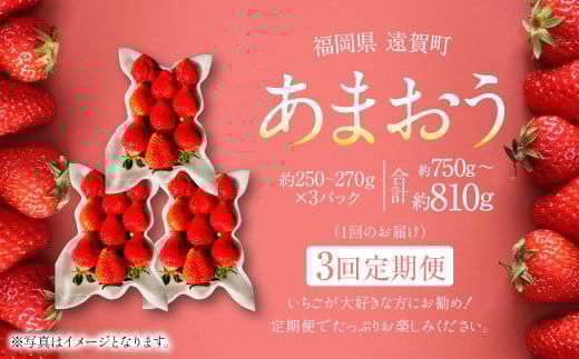 【3回定期便】あまおう 3パック 計約750～810g ×3回 あまおう いちご イチゴ 苺 果物 くだもの フルーツ 定期便【2026年1月下旬～4月下旬発送予定】