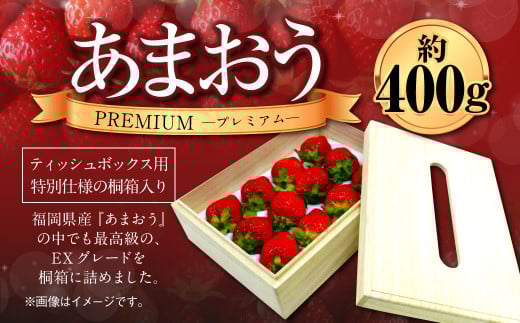 ティッシュボックス用 特別仕様の桐箱入り プレミアム あまおう 約400g×1パック あまおう いちご イチゴ 苺 果物 くだもの フルーツギフト お祝い 贈答用【2026年2月上旬～4月上旬発送予定】