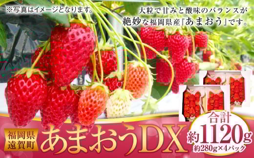 あまおうDX 約280g×4パック あまおう いちご イチゴ 苺 果物 くだもの フルーツ【2026年2月上旬～4月上旬発送予定】