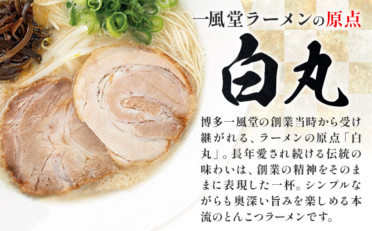 ラーメン 一風堂 白丸 ラー麦麺 2食 地域商社ふるさぽ《90日以内に出荷予定(土日祝除く)》福岡県 鞍手郡 小竹町 ラーメン とんこつ 豚骨スープ 豚骨ラーメン ラー麦 麺---sc_fsipdr_90d_26_6500_2s---