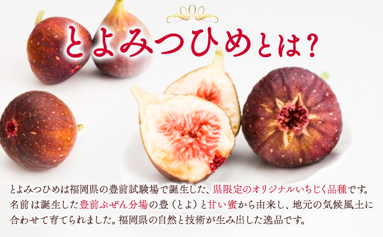 いちじく 無花果 とよみつひめ 280g×4パック《8月中旬-10月中旬頃出荷》福岡県 小竹町 福岡県産 いちじく フルーツ 果物---sktk_ctymt_26_q810_9500_1120g---