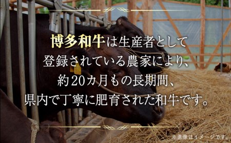 博多和牛切り落とし 1.2kg (600ｇ×2パック)《30日以内に出荷予定(土日祝除く)》 博多和牛 株式会社MEAT PLUS 牛肉 牛肩 バラ A4ランク 以上使用 厳選---sc_fmphtkr_30d_r7_16500_1200g---
