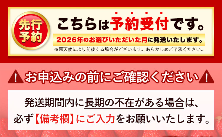 いちご あまおう 先行予約 いちご 大量 540g 選べる発送時期 定期便 フルーツ《2026年3月発送》苺 旬 くだもの 果物 福岡県 小竹町---isc_camoys_ac3_25_7500_540g---