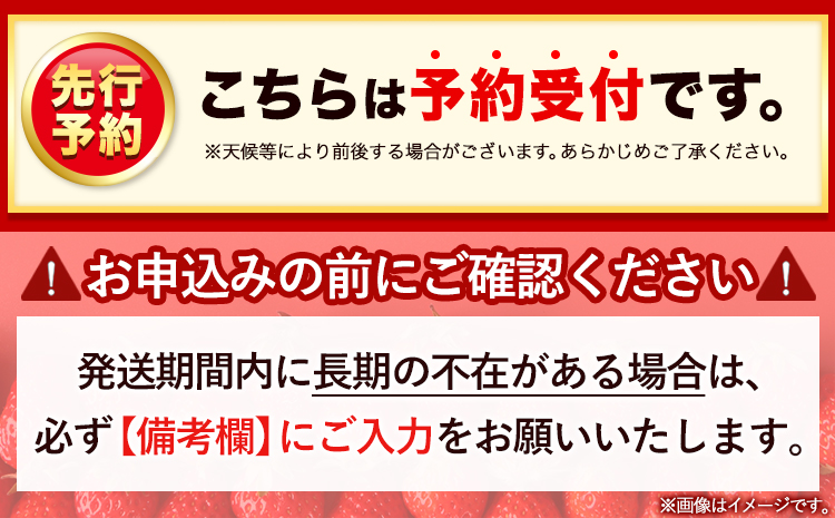 いちご あまおう 先行予約 いちご 大量 540g 選べる発送時期 定期便 フルーツ《3ヶ月定期便(1月2月3月に1回ずつ)》苺 旬 くだもの 果物 福岡県 小竹町---isc_catei_25_21000_jan3---