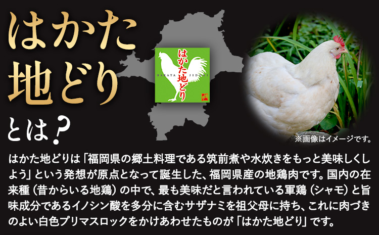鶏肉 はかた地どり モモムネセット もも肉 むね肉 2kg 《30日以内に出荷予定(土日祝除く)》 株式会社MEAT PLUS 福岡県 鞍手郡 小竹町 地鶏 鶏肉 とり肉---sc_fhktc_30d_r7_15500_2kg---