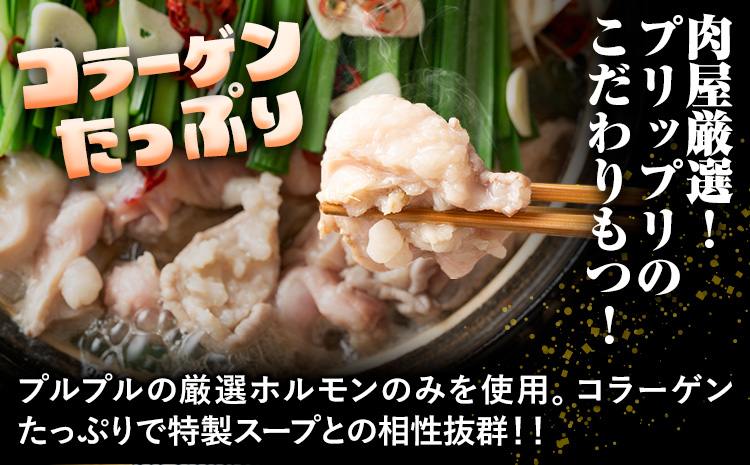 もつ鍋 博多 醤油 もつ鍋 10人前 株式会社MEAT PLUS《30日以内に出荷予定(土日祝除く)》福岡県 鞍手郡 小竹町 鍋 もつ鍋 醤油味 牛もつ スープ付き---sc_fmpmts_30d_r7_12500_10p---